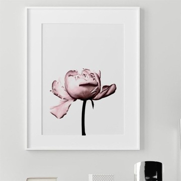 Цветочная картина маслом Плакат Элегантный скандинавский принт Декор