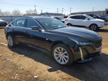 Cadillac 2024 Cadillac CT5 Luxury 2024 2.0 Benzyna 237KM, zdjęcie 4