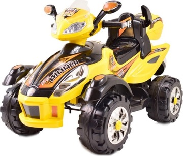 WINNER ELECTRIC QUAD 4 МЕХАНИЗМЫ 2 ДИСТАНЦИОННЫХ ДВИГАТЕЛЯ