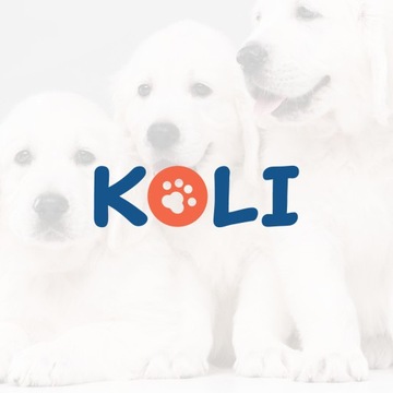 Дизайн логотипа компании, векторный дизайн логотипа