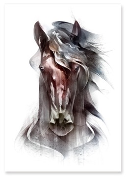 Plakat Obraz Konie Koń 70x100 cm B1