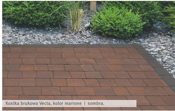 GL-Cube Vecta 8 Semmelrock Marrone Silva