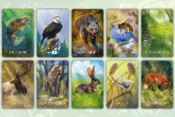 ЭКОСИСТЕМНАЯ СЕМЕЙНАЯ ОБРАЗОВАТЕЛЬНАЯ НАСТОЛЬНАЯ ИГРА 8+