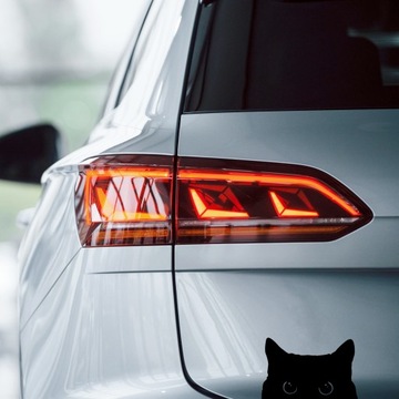 Наклейка КОТ СМОТРИТ НА ОКНО МАШИНЫ - Забавный дизайн для владельцев кошек