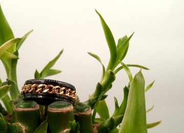 Кольцо с печаткой, обручальное кольцо, нержавеющая сталь, цепочка