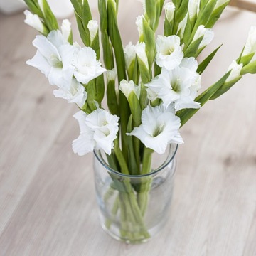 БОЛЬШАЯ декоративная стеклянная банка для леса в банке Композиции ВАЗА для цветов