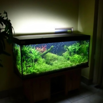 Краска для стемпинга Noris 110S, 25 мл, черная