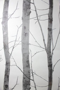 ОБОИ БЕРЕЗА ОБОИ ЛЕС ВИНИЛ erismann