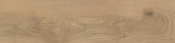 TAIGA HONEY GRES SZKL. RET. 20x120 GAT.1 STARGRES