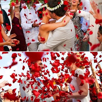 КРАСНЫЕ ЛЕПЕСТКИ РОЗ ИСКУССТВЕННЫЕ СВАДЕБНЫЕ КОНФЕТТИ 1000шт *ДВОЙНОЕ КОЛИЧЕСТВО* +БЕСПЛАТНО