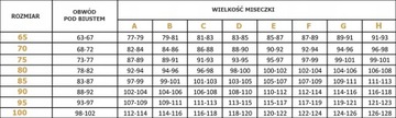 MAT biustonosz usztywniany CARMELA BIG beż 95C