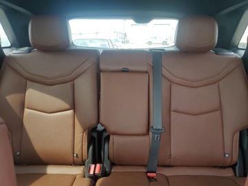 Cadillac 2021 Cadillac XT5 Sport 2021 3.6l 3.6 Benzyna 310KM, zdjęcie 10