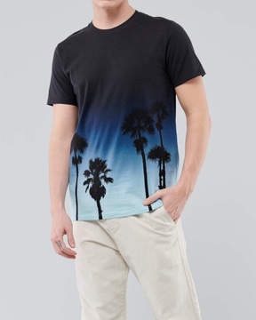 t-shirt Hollister Abercrombie koszulka S PIĘKNA