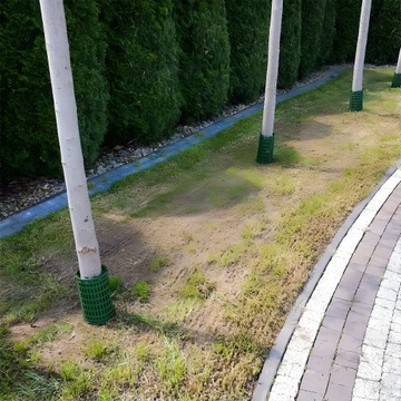 Покрытие для ствола дерева Защитная пленка для дерева 38 x 25 см - Зеленый