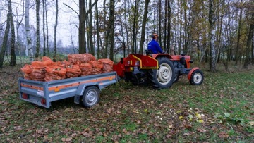 РОЛИКОВЫЙ ИЗМЕЛЬЧИТЕЛЬ R100 6N с маховиком fi 360