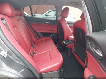 Alfa Romeo Stelvio 2020 Alfa Romeo Stelvio 2020 r., 2,0L RWD 2.0 Benzyna 280KM, zdjęcie 10