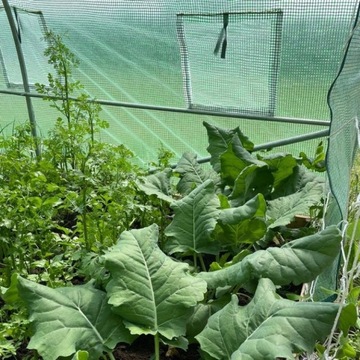 САДОВЫЙ ТУННЕЛЬ ИЗ ФОЛЬГИ ТЕНТ ИЗ ФОЛЬГИ 2,5х4 10м2 ТУННЕЛИ ИЗ ФОЛЬГИ + БЕСПЛАТНО