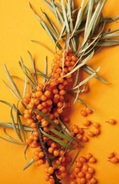 BAREX CONTEMPORA SPRAY ОБЪЕМ ОБЪЕМ 200 МЛ