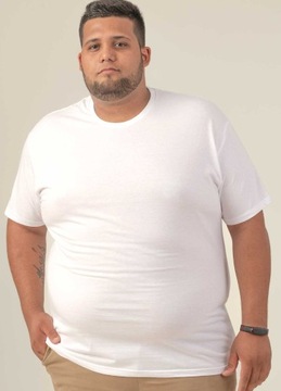 Удобная мужская футболка 100% хлопок Сертификат много цветов 2XL