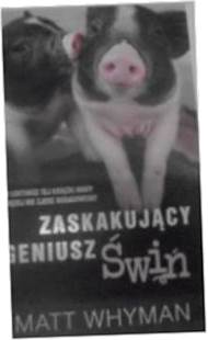 Zaskakujący geniusz świń - Matt Whyman