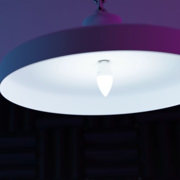 TechToy Smart Bulb RGB 4,5 Вт E14 лампа