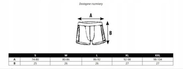 Комплект мужского нижнего белья Bamboo Merino Wool L