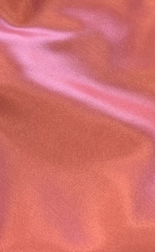 КОРОТКИЙ КАРЛ