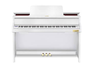 CASIO GP-310 МЫ + СКАМЬЯ