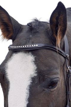 Уздечка Balotade Quick Brown Полная уздечка хакамора