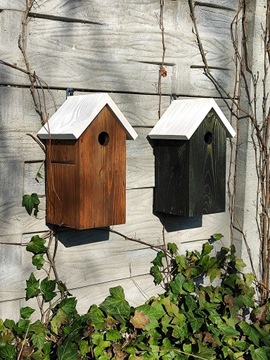 СКВОРОТКА - ЦВЕТНАЯ КРЫША, высота 30 см