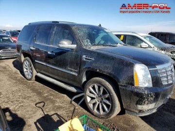 Cadillac Escalade III 2010 Cadillac Escalade 2010 CADILLAC ESCALADE LUXUR...