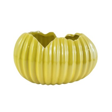 DONICZKA/OSŁONKA SKORUPKA ŻÓŁTA PERŁOWA