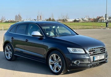 Audi Q5 I SQ5 3.0 TDI 313KM 2013 Audi SQ5 3.0Dieselsuper stan Zarejestrowana w ...