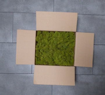 Натуральный крабовый мох ПРЕМИУМ картон 600г