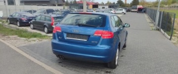Audi A3 8P Hatchback 3d 1.9 TDI 105KM 2009 Audi A3 Sportback 1.9 TDI ,BEZWYPADEK,zadbany 1.9 Diesel 105KM, zdjęcie 4