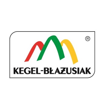 Pokrowiec na fotel kierowcy Renault Master