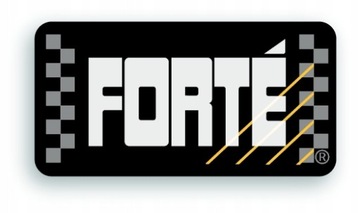 Forte DPF Cleaner And Regenerator - сжигание DPF