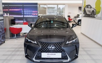 Lexus UX 2024 Lexus UX 300h Business 2.0 Hybryda 152KM, zdjęcie 1