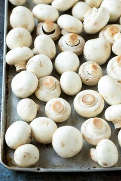 Субстрат для грибного мицелия 20 XXXL