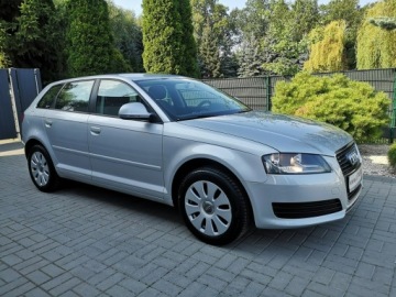 Audi A3 8P 2009 Audi A3 Sportback 1.6 MPI 102KM SPORTBACK Klimatro, zdjęcie 3