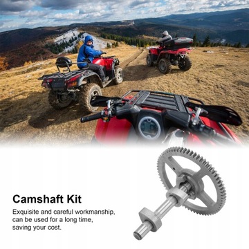 КОМПЛЕКТ РАСПРЕДВАЛА BRIGGS 84005207 793880