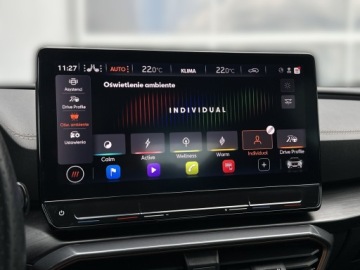 Cupra Formentor Crossover 2.0 TSI 310KM 2024 Cupra Formentor 2.0TSI 310KM VZ 4Drive l Tribe Edi, zdjęcie 25
