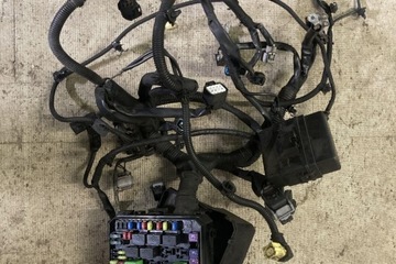 SVAZEK KABEL CITROEN C-CROSSER (EP_) 8501C53 2.2L DIESEL 115KW 2010