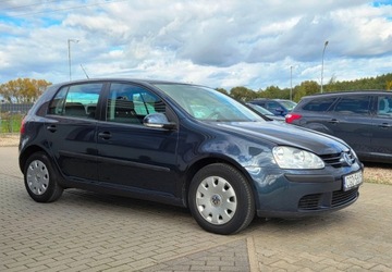 Volkswagen Golf V Hatchback 1.4 i 16V 75KM 2005 Volkswagen Golf 1,4 Ben Klima 1.4 Benzyna 75KM, zdjęcie 15