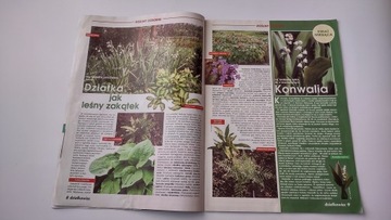 Дзялковец 5 1998