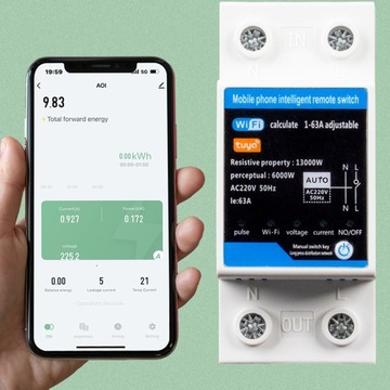 СЧЕТЧИК ЭЛЕКТРОЭНЕРГИИ Туя WiFi