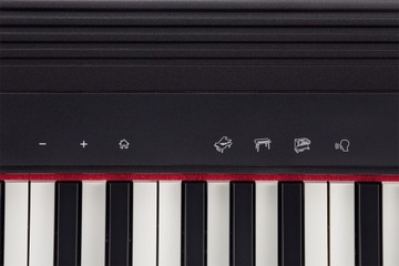 ROLAND GO:PIANO Компактное пианино с настольным компьютером
