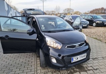 Kia Picanto II Hatchback 5d 1.0 69KM 2014 Kia Picanto 1,0 Ben 69 km, zdjęcie 19