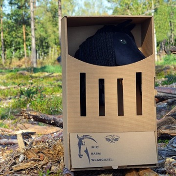 PEGAZ CLUB оригинал Hobby Horse A3 Малопольская краснокаштановая морковь