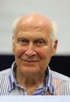 Любовь, зачарованная болезнью | БЕРТ ХЕЛЛИНГЕР и АНДРЕЙ НЕРЕБЕЦКИ